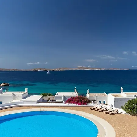 Willa Macaro With Direct Access