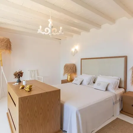 Villa Macaro With Direct Access Mykonos Town