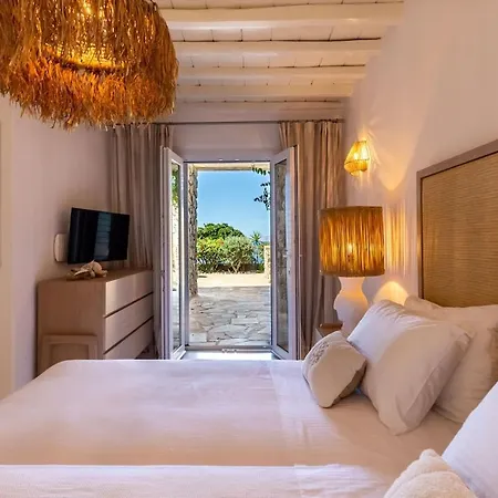 Macaro With Direct Access *