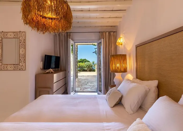 Macaro With Direct Access *